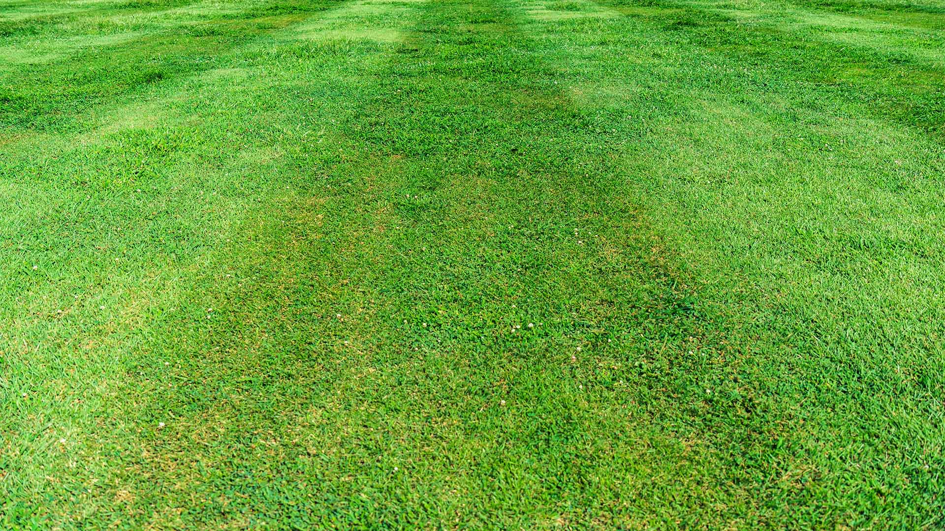 fleming island commercial lawn care services