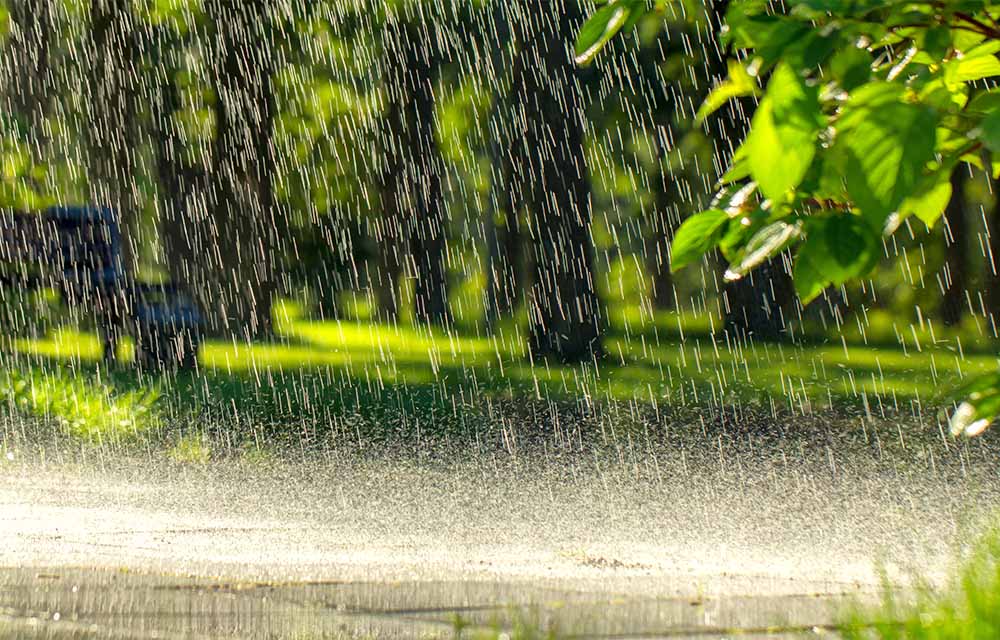 High Rainfall in Jacksonville—Drainage is Key